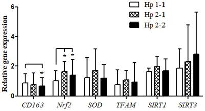 Changes in haptoglobin genotype-based gene expressions upon the observance of dawn-to-dusk intermittent fasting: a prospective cohort study on overweight and obese individuals